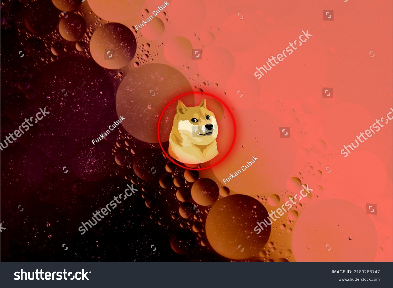 Bón
