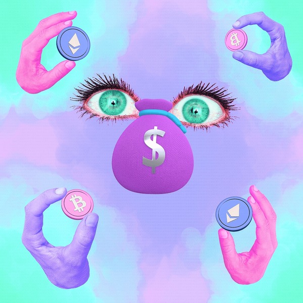 Rắn