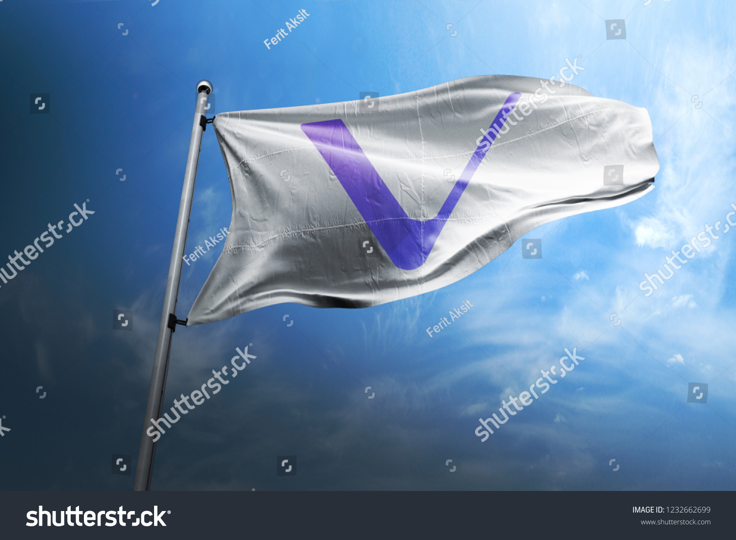 T1 
