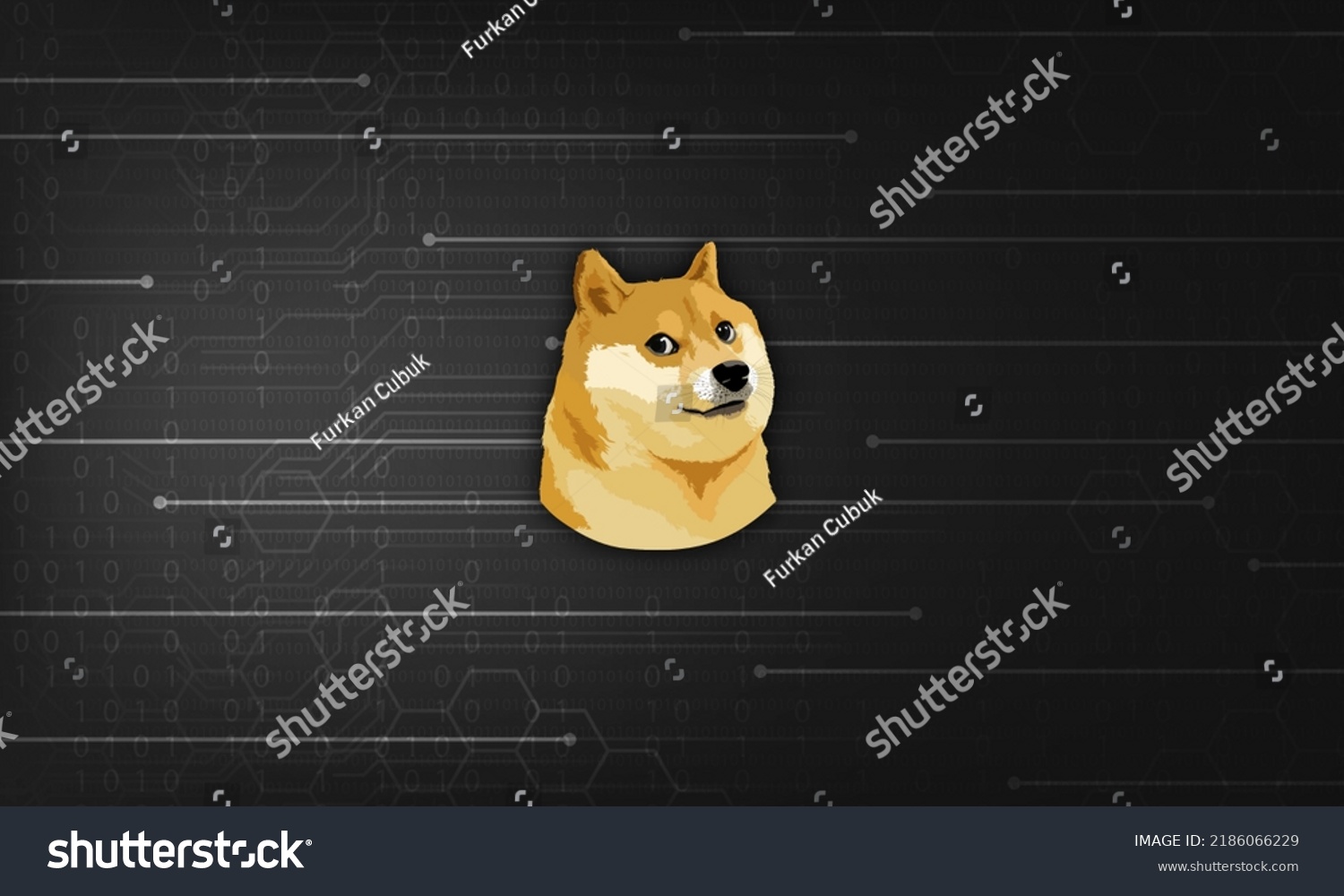 Giả