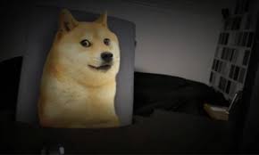 Vua