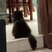 Kỷ 