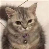 Ang