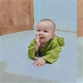 Mắt