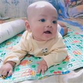 Dự 