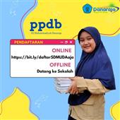 Plu