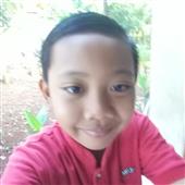 Fli