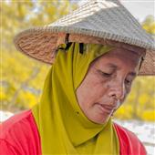 Lịc