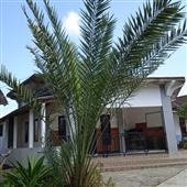 Phá