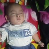Đấu