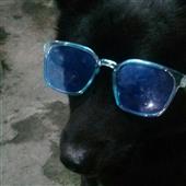 Tha