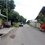 Sự 