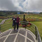 Bản