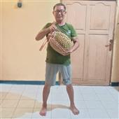 Trự