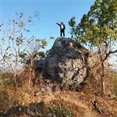 Vệ 