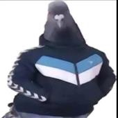 Gam