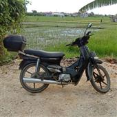 Giả
