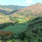 Làn