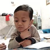 Phỉ