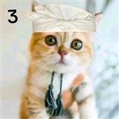Giả