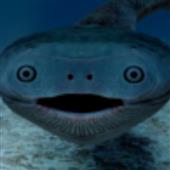 Sic