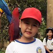 Rồn