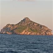Liê