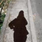 Bầy