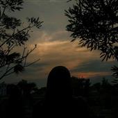 đất