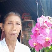 Bài