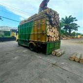 Luậ