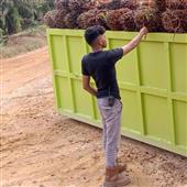 Chỉ