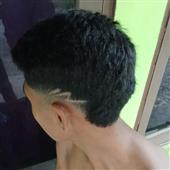 Hoạ