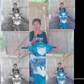 Quy