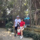 Giả
