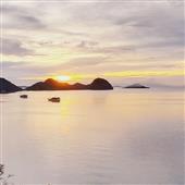 Bản
