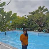 Bầu