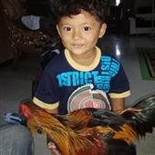 Sòn