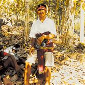 Dự 