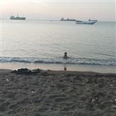 Bản