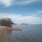 Luậ