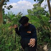 Thứ