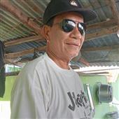 Mắt