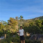 Bản