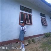 Bes