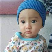 Trọ