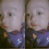 Wil