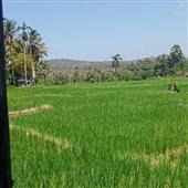 Luậ