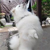 Vùn