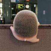 Chu